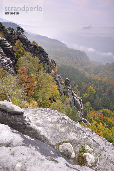 Ausblick über die Schrammsteine im Elbsandsteingebirge  im Herbst  Sächsische Schweiz  Bad Schandau  Sachsen  Deutschland