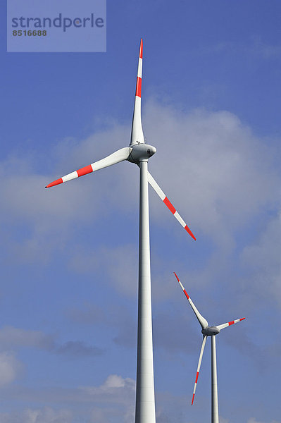 Windräder gegen blauen Himmel  Rhena  Mecklenburg-Vorpommern  Deutschland