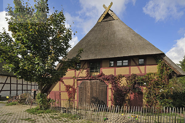 Bauernhaus Quadrat Quadrate quadratisch quadratisches quadratischer Dorf Renovierung Reetdach Mecklenburg-Vorpommern Deutschland