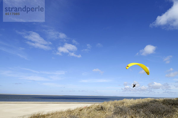 Paragleiter über dem Strand  De Cocksdorp  Texel  Westfriesische Inseln  Provinz Nordholland  Niederlande