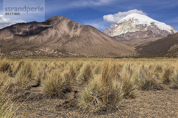 Vulkan Sajama  Sajama-Nationalpark  Altiplano-Hochland  Bolivien
