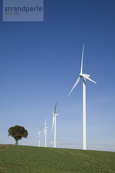 Windturbine Windrad Windräder Baum Feld Eifel Deutschland Nordrhein-Westfalen