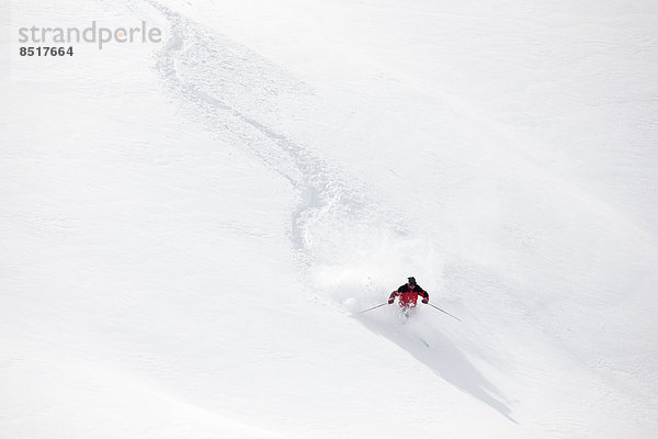 Skifahrer fährt im Tiefschnee  Hochfügen  Zillertal  Tirol  Österreich