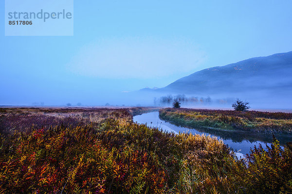 Ländliches Motiv  ländliche Motive  Landschaft  über  Nebel  Fluss