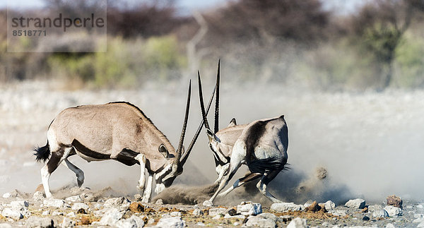 Namibia