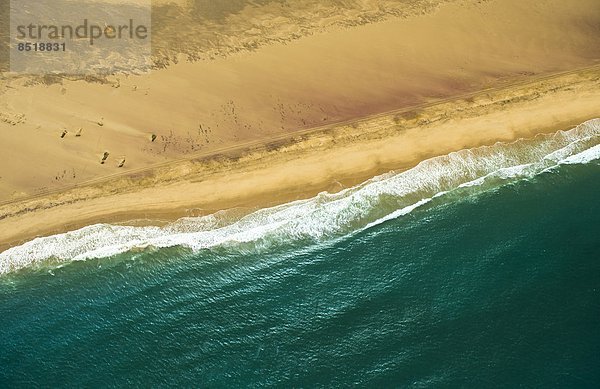 Blühende Namibwüste nach starken Regenfällen im Sommer  Namibia