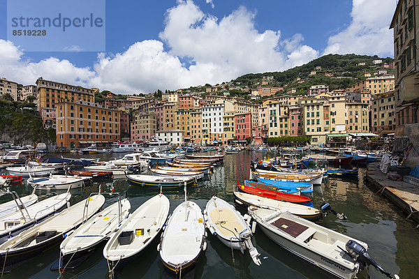 Italy  Liguria  Proßince of Genoa  Camogli  fishing boats at harbour