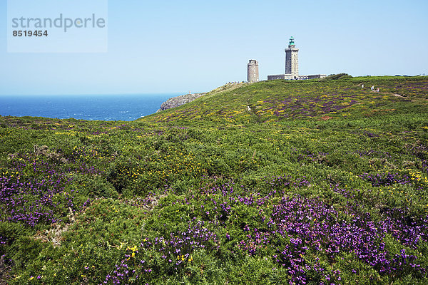 France  Bretagne  Cap Frehel  Lighthouse and landscape with gorse and heather