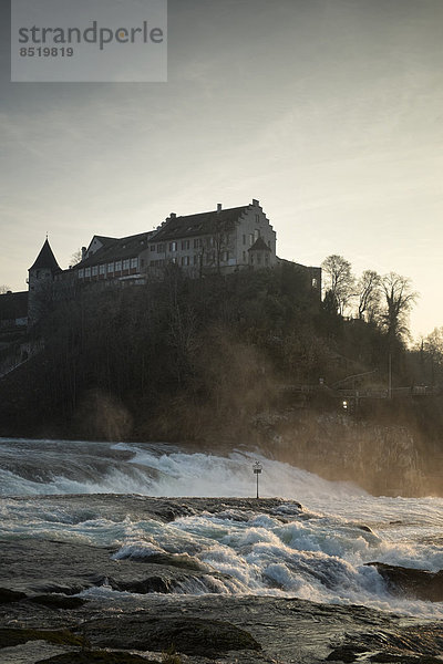 Switzeland  Schaffhausen  Rhine falls with Laufen Castle