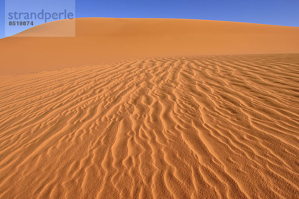 North Africa  Algeria  Sahara  sand ripples  texture on a sand dune