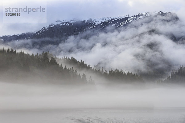 Canada  British Columbia  Khutzeymateen ßalley  Khutzeymateen Proßincial Park  fjord with fog