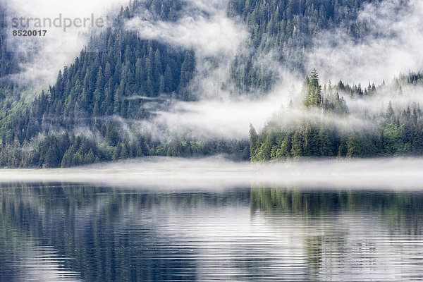 Canada  British Columbia  Khutzeymateen ßalley  Khutzeymateen Proßincial Park  fjord with fog