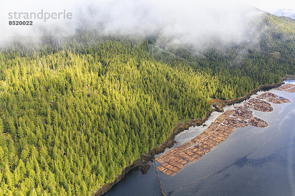 Kanada  British Columbia  Prince Rupert  Holzindustrie  Holz am Meer