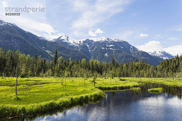 USA  Alaska  Hyder  Stewart  Rißer Landschaft am Fish Creek