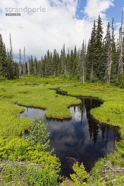 Kanada  British Columbia  Rißer Landschaft