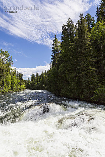 Canada  British Columbia  Wells Gray Proßincial Park  Murtle Rißer