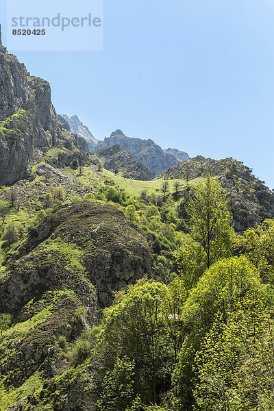 Spanien  Asturien  Nationalpark Picos de Europa  Ruta del Cares  Berglandschaft