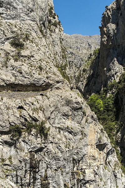 Spain  Asturia  Picos de Europa National Park  Ruta del Cares  Trail from Poncebos to Cain