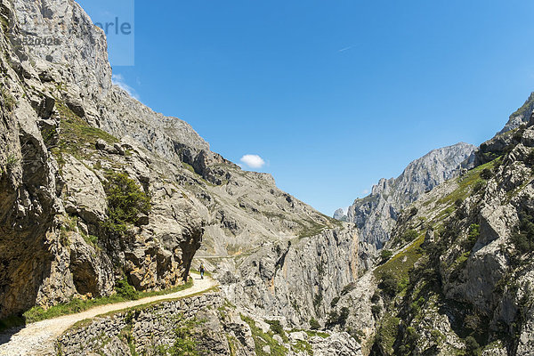 Spanien  Asturien  Picos de Europa Nationalpark  Ruta del Cares  Weg von Poncebos nach Kain