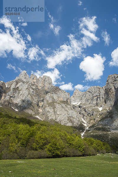Spain  Cantabria  Picos de Europa National Park  Mountain massif Pena Remona