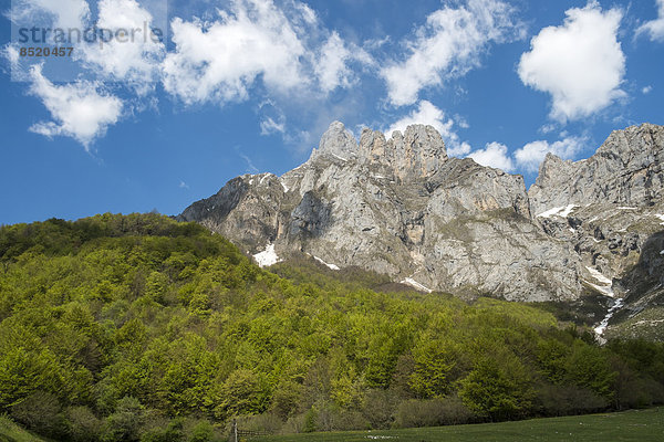 Spanien  Kantabrien  Nationalpark Picos de Europa  Bergmassiv Pena Remona