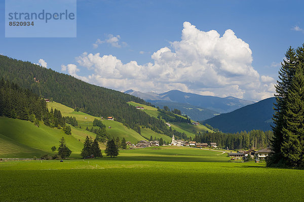 Italien  Trentino-Südtirol  Südtirol  Landschaft von Bozen