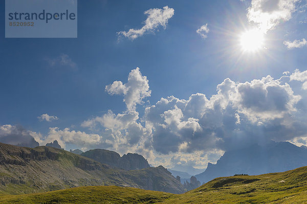 Italy  Proßince of Belluno  ßeneto  Auronzo di Cadore  alpine meadow near Tre Cime di Laßaredo