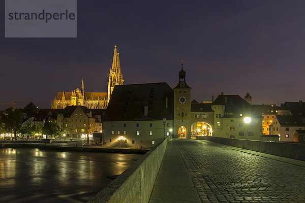 Germany  Baßaria  Regensburg  Saint Peter's Cathedral and stone bridge at night