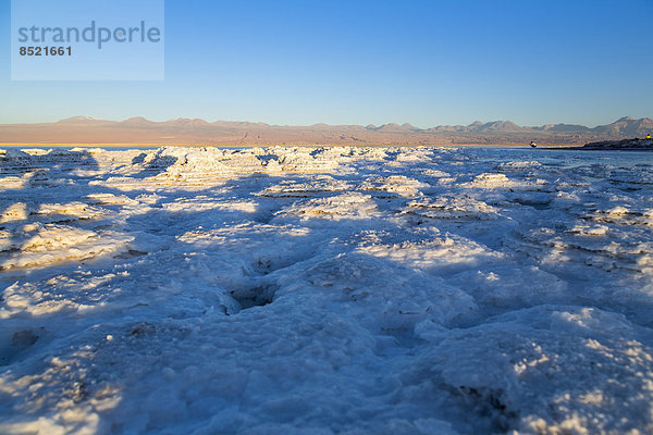 Chile  Atacama Desert  Laguna Tebinquinche