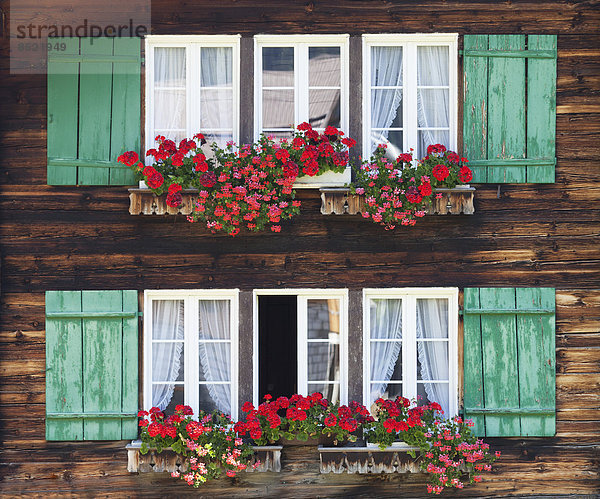 Schweiz  Berner Oberland  Fenster mit Blumenkästen vom Bauernhof