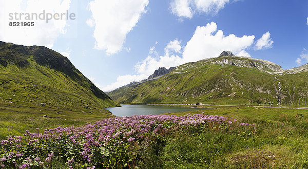 Schweiz  Graubünden  Oberalpsee und Oberalppass