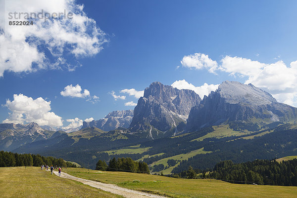 Italy  South Tyrol  Seiseralm and Langkofel group