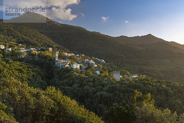 Frankreich Korsika Haute-Corse