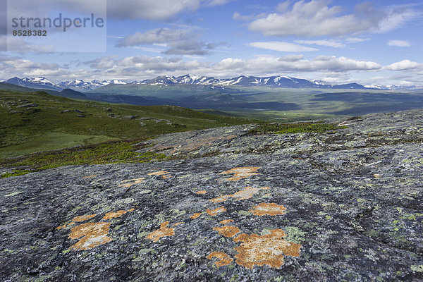 Ausblick vom Prinskullen  Fels und Flechten vorne  Kvikkjokk  Norrbottens län  Schweden