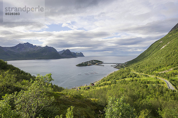 Ausblick auf den Fischerort Husoy  Insel Senja  Troms  Norwegen