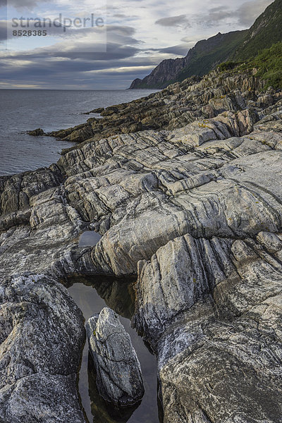 Felsstrukturen an der Küste bei Husoy  Insel Senja  Troms  Norwegen