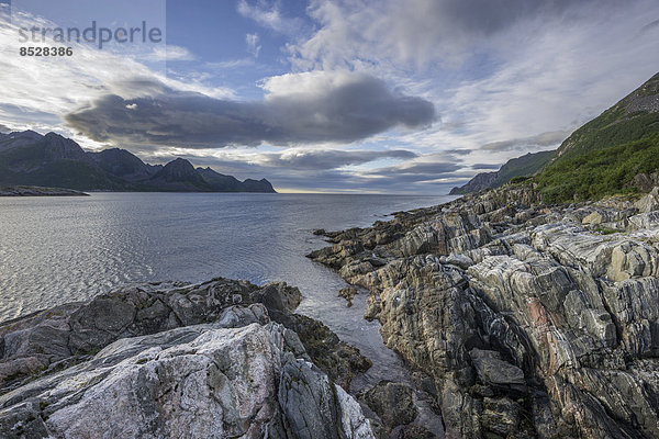 Felsstrukturen an der Küste bei Husoy  Insel Senja  Troms  Norwegen