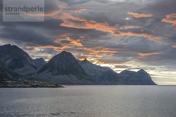 Küste bei Husoy im Abendlicht  Insel Senja  Troms  Norwegen
