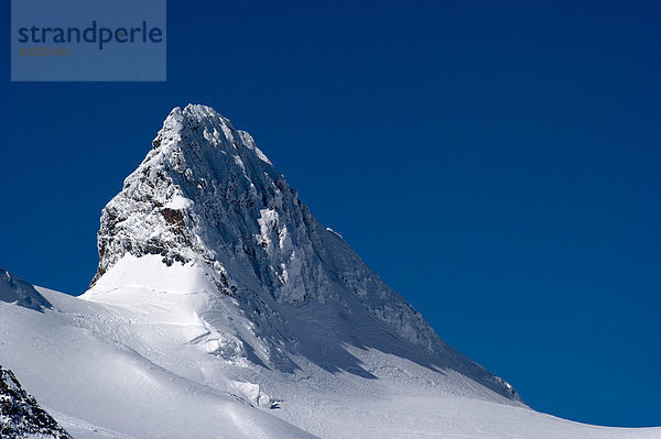 Schnee am Crast Agüzza  Pontresina  Graubünden  Schweiz