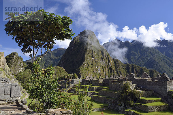 Inka-Ruinenstadt Machu Picchu  UNESCO-Weltkulturerbe  Urubamba-Tal  Anden  Peru