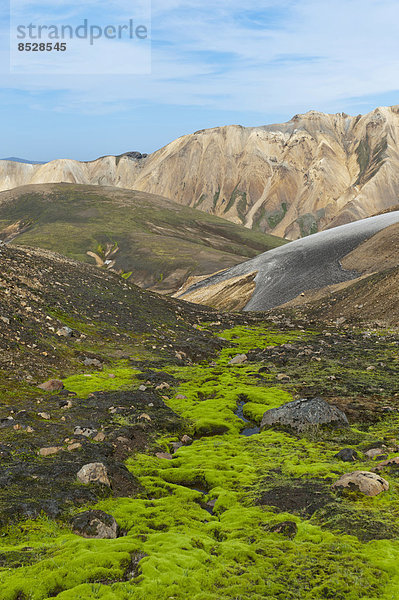 Berglandschaft  buntes Rhyolith-Gestein  teils mit grünem Moos überwachsen  Landmannalaugar  Hochland  Suðurland  Island