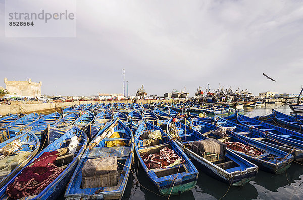 Hafen mit Fischerbooten  Essaouira  Marrakesch-Tensift-El Haouz  Marokko