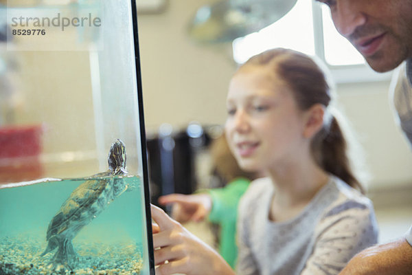 Vater und Tochter beobachten Schildkröte schwimmen im Panzer