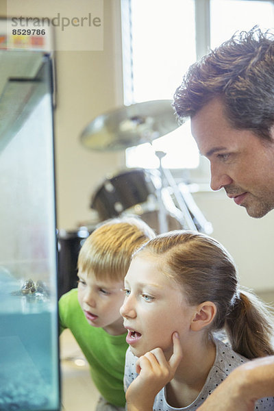 Vater und Kinder untersuchen Aquarium