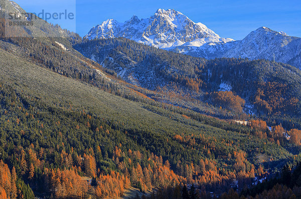 Mieminger Gebirge im Herbst  Holzleiten  Tirol  Österreich