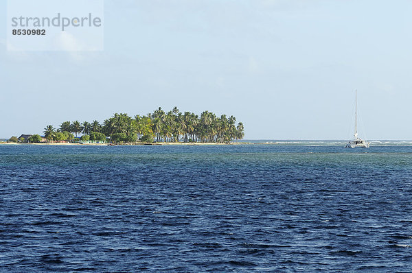 Katamaran  Insel Gaigirgordup oder El Porvenir  San Blas Archipel  Karibisches Meer  Panama