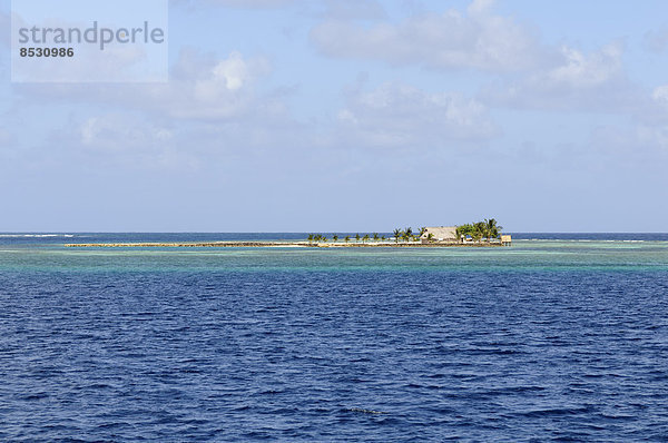 Die kleine Insel Sindup  San Blas Archipel  Karibisches Meer  Panama