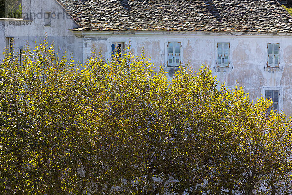 Frankreich Korsika Haute-Corse