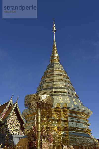 Goldener Chedi im Tempel Wat Phra That Doi Suthep  Chiang Mai  Nordthailand  Thailand