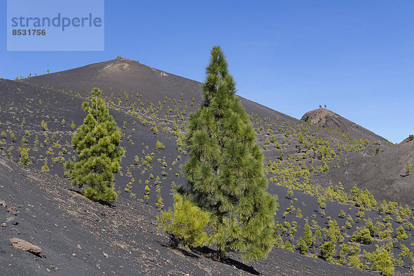 Vulkan San Martín  Cumbre Vieja bei Fuencaliente  La Palma  Kanarische Inseln  Spanien